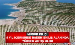 Müdür Kılıç: 5 Yıl İçerisinde Badem Ekiliş Alanında Yüksek Artış Oldu