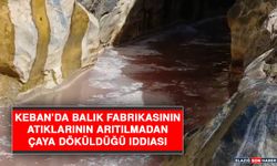 Keban’da Balık Fabrikasının Atıklarının Arıtılmadan Çaya Döküldüğü İddiası