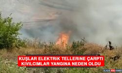 Kuşlar Elektrik Tellerine Çarptı, Kıvılcımlar Yangına Neden Oldu