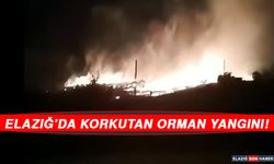 Elazığ’da Korkutan Orman Yangını