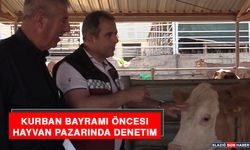 Kurban Bayramı Öncesi Hayvan Pazarında Denetim