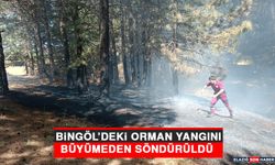 Bingöl’deki Orman Yangını Büyümeden Söndürüldü