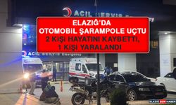 Elazığ’da Otomobil Şarampole Uçtu: 2 Kişi Hayatını Kaybetti, 1 Kişi Yaralandı