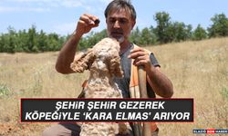 Şehir Şehir Gezerek Köpeğiyle ‘Kara Elmas' Arıyor