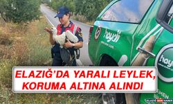 Elazığ’da Yaralı Leylek, Koruma Altına Alındı