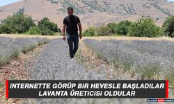 İnternette Görüp Bir Hevesle Başladılar, Lavanta Üreticisi Oldular