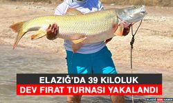 Elazığ’da 39 Kiloluk Dev Fırat Turnası Yakalandı