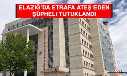 Elazığ’da Etrafa Ateş Eden Şüpheli Tutuklandı