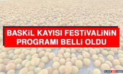 Baskil Kayısı Festivalinin Programı Belli Oldu