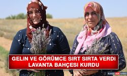 Gelin ve Görümce Sırt Sırta Verdi, Lavanta Bahçesi Kurdu