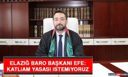 Elazığ Baro Başkanı Efe: Katliam Yasası İstemiyoruz