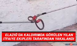 Elazığ’da Kaldırımda Görülen Yılan İtfaiye Ekipleri Tarafından Yakalandı