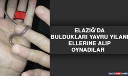 Elazığ’da Buldukları Yavru Yılanı Ellerine Alıp Oynadılar