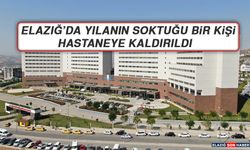 Elazığ’da Yılanın Soktuğu Bir Kişi Hastaneye Kaldırıldı