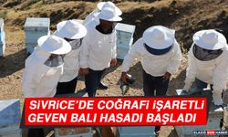 Sivrice’de Coğrafi İşaretli Geven Balı Hasadı Başladı