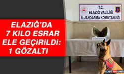 Elazığ’da 7 Kilo Esrar Ele Geçirildi: 1 Gözaltı