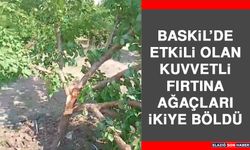 Baskil’de Fırtına Etkili Oldu