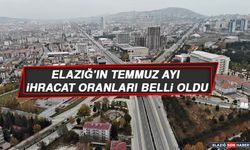 Elazığ Temmuz Ayı İhracat Oranları Belli Oldu