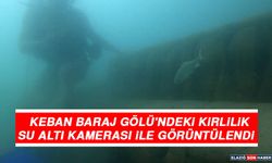 Keban Baraj Gölü'ndeki Kirlilik Su Altı Kamerası İle Görüntülendi