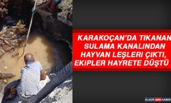 Karakoçan’dan Tıkanan Sulama Kanalından Hayvan Leşleri Çıktı, Ekipler Hayrete Düştü