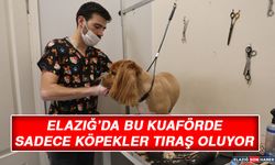 Elazığ’da Bu Kuaförde Sadece Köpekler Tıraş Oluyor