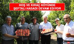 Elazığ’da Şeftali Hasadı Devam Ediyor