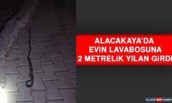 Alacakaya’da Evin Lavabosuna 2 Metrelik Yılan Girdi