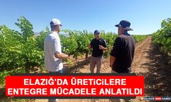 Elazığ’da Üreticilere Entegre Mücadele Anlatıldı