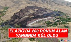 Elazığ'da 200 Dönüm Alan Yangında Kül Oldu