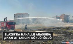 Elazığ’da Mahalle Arasında Çıkan Ot Yangını Söndürüldü