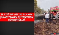 Elazığ'da Otluk Alanda Çıkan Yangın Büyümeden Söndürüldü