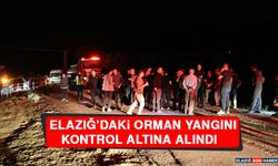 Elazığ’daki Orman Yangını Kontrol Altına Alındı