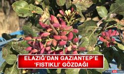 Elazığ'dan Gaziantep'e 'Fıstıklı' Gözdağı