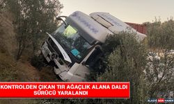 Kontrolden Çıkan Tır Ağaçlık Alana Daldı, Sürücü Yaralandı