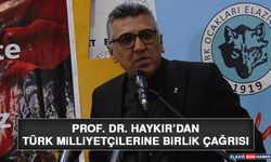 Prof. Dr. Haykır'dan Türk Milliyetçilerine Birlik Çağrısı