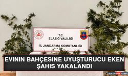 Evinin Bahçesine Uyuşturucu Eken Şahıs Yakalandı