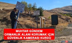 Muhtar Gündem, Ormanlık Alanı Korumak İçin Güvenlik Kamerası Kurdu