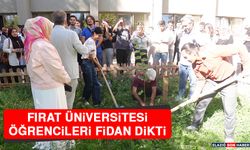 Fırat Üniversitesi Öğrencileri Fidan Dikti