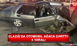 Elazığ’da Otomobil Ağaca Çarptı: 4 Yaralı