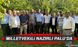 Milletvekili Nazırlı Palu'da