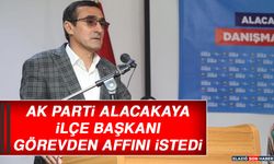 AK Parti Alacakaya İlçe Başkanı Görevden Affını İstedi