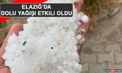 Elazığ’da Dolu Yağışı Etkili Oldu