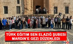 Türk Eğitim Sen Elazığ Şubesi Mardin’e Gezi Düzenledi