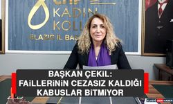 Başkan Çekil: Faillerinin Cezasız Kaldığı Kabuslar Bitmiyor