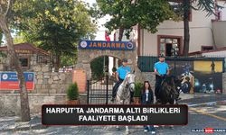 Harput’ta Jandarma Atlı Birlikleri Faaliyete Başladı