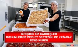 Girişimci Kız Kardeşler, Birikimlerine Devlet Desteğini De Katarak Tesis Kurdu