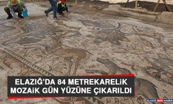 Elazığ’da 84 Metrekarelik Mozaik Gün Yüzüne Çıkarıldı