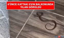 4'üncü Kattaki Evin Balkonunda Yılan Görüldü