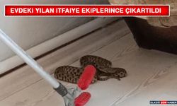 Evdeki Yılan İtfaiye Ekiplerince Çıkartıldı