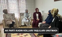 AK Parti Kadın Kolları Yaşlıları Unutmadı